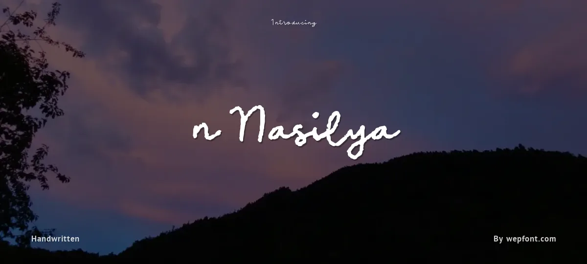 n Nasilya font preview