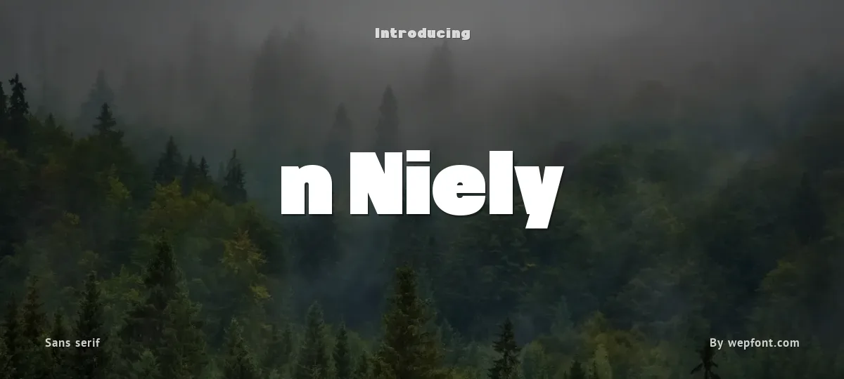 n Niely font preview