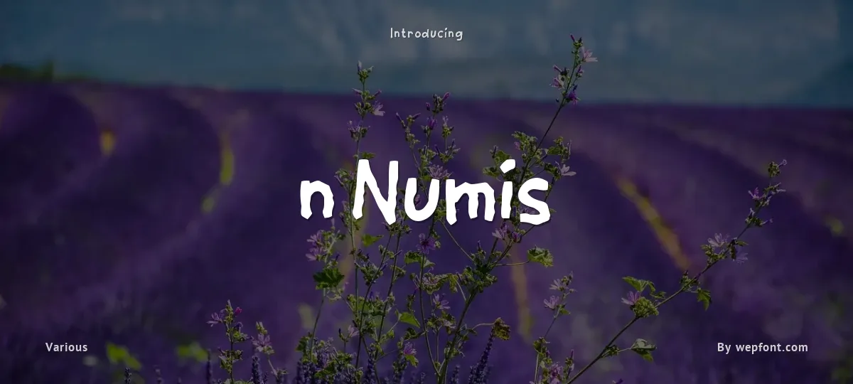 n Numis font preview