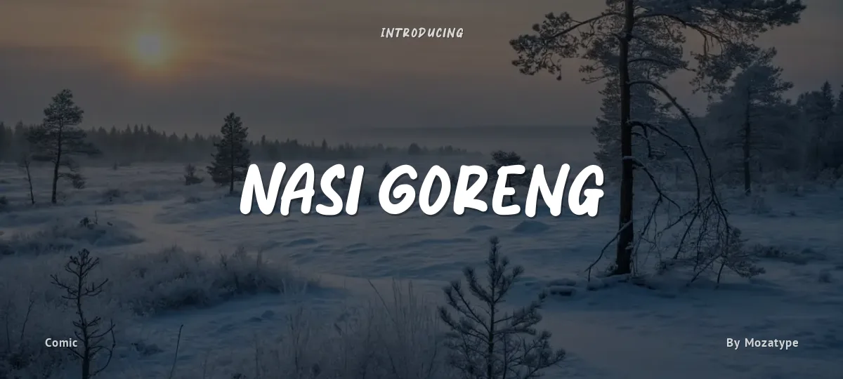Nasi Goreng font preview