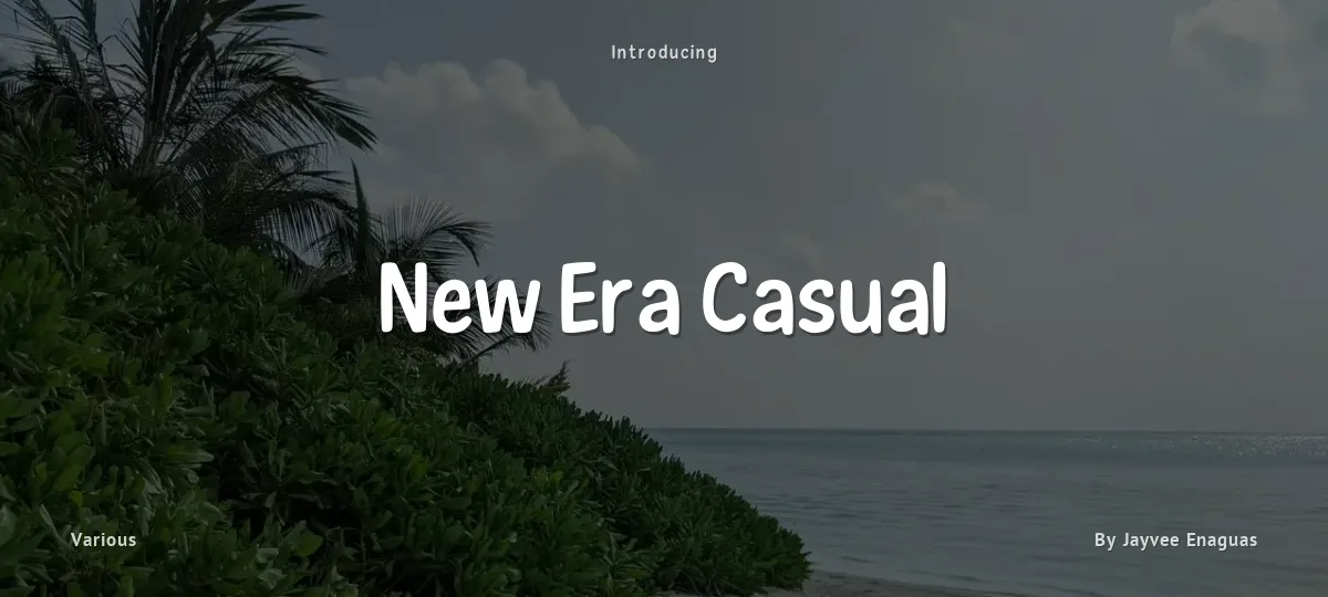 New Era Casual font preview