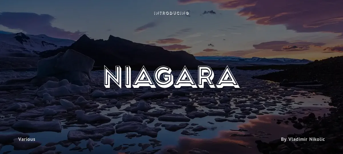 Niagara font preview