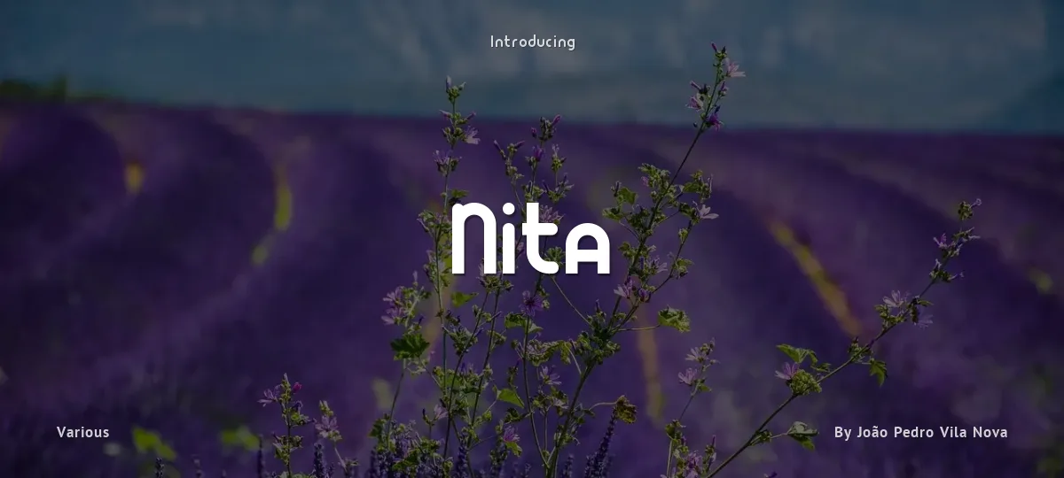 Nita font preview