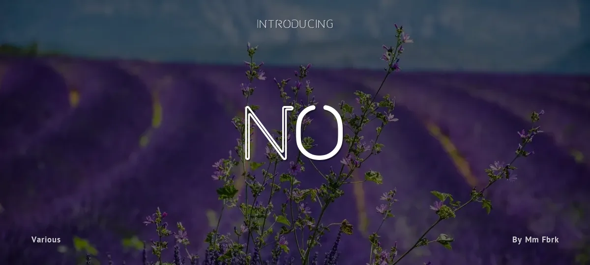No font preview