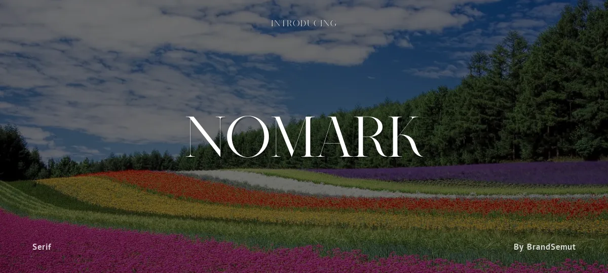 Nomark font preview