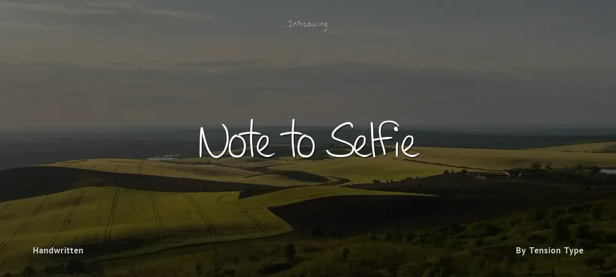 Note to Selfie font preview