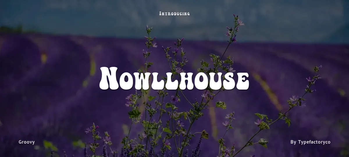 Nowllhouse font preview