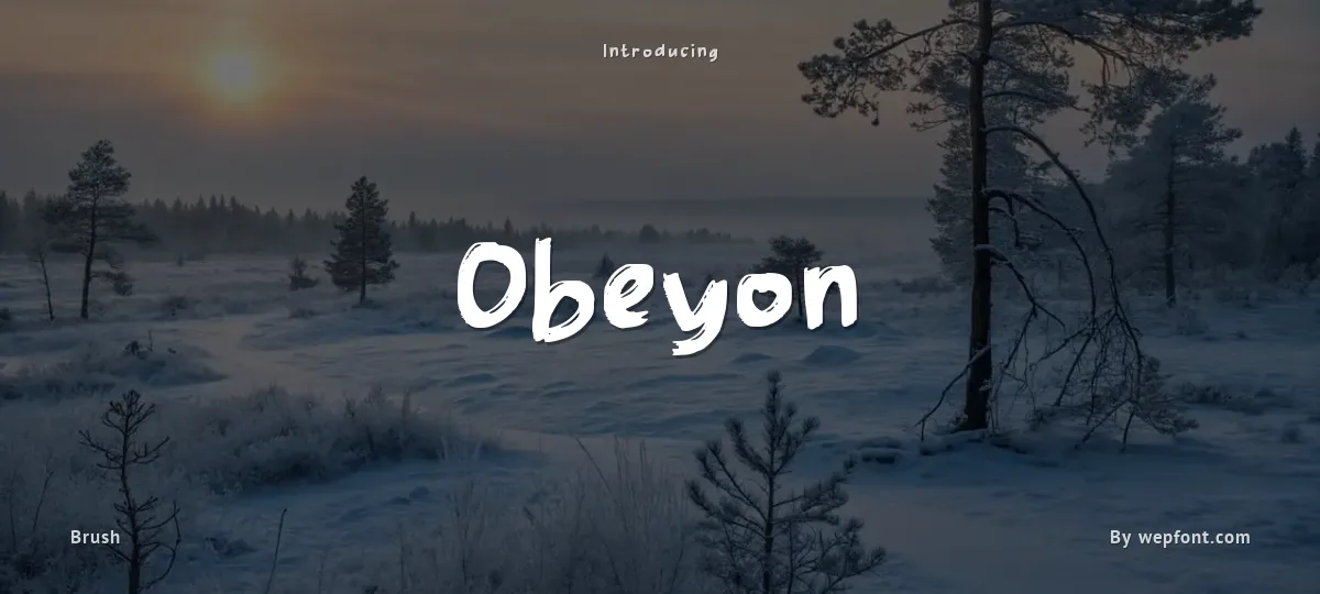 Obeyon font preview