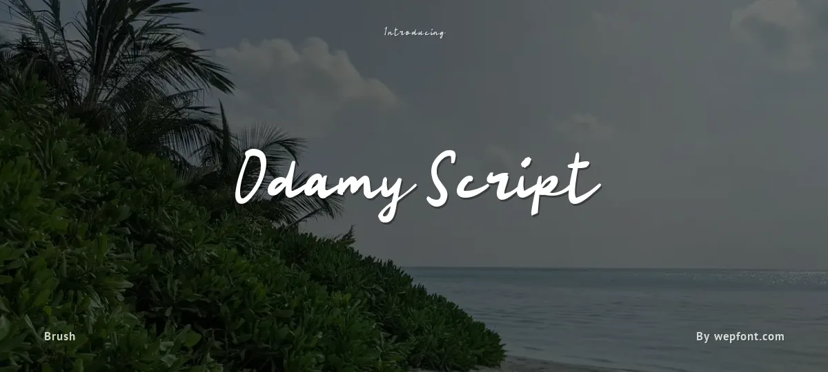 Odamy Script font preview