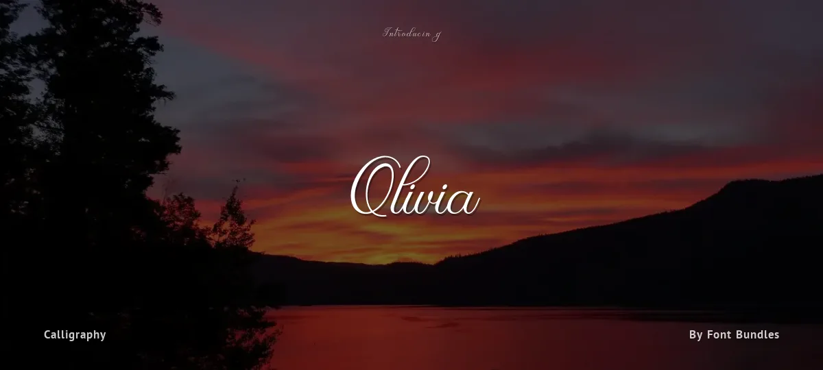 Olivia font preview