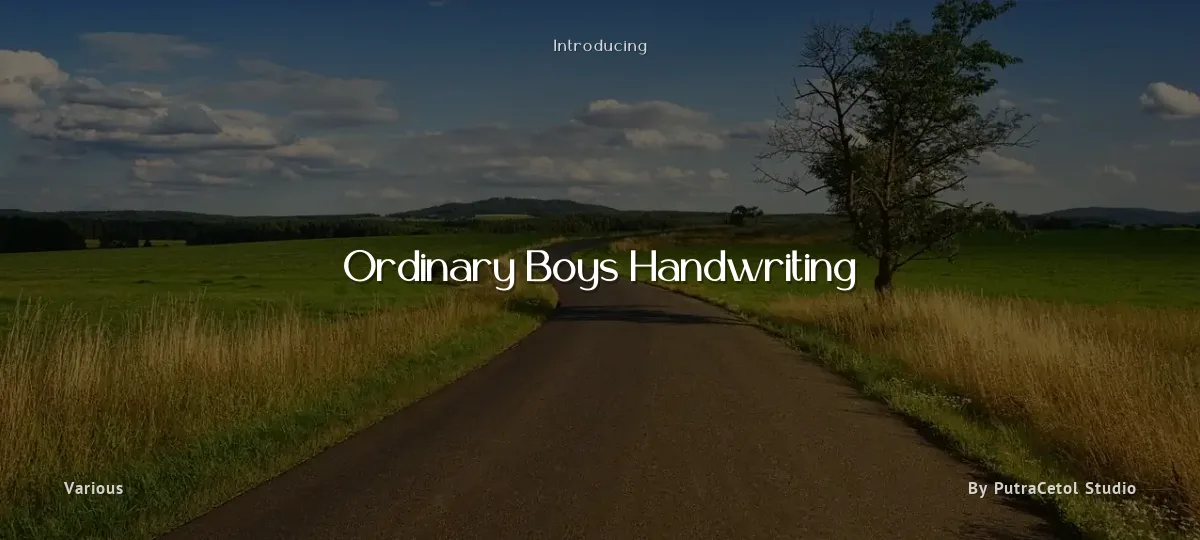 Ordinary Boys Handwriting font preview