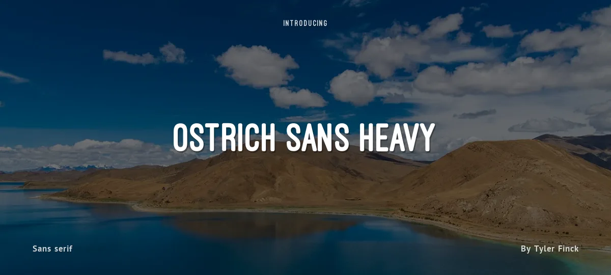 Ostrich Sans Heavy font preview