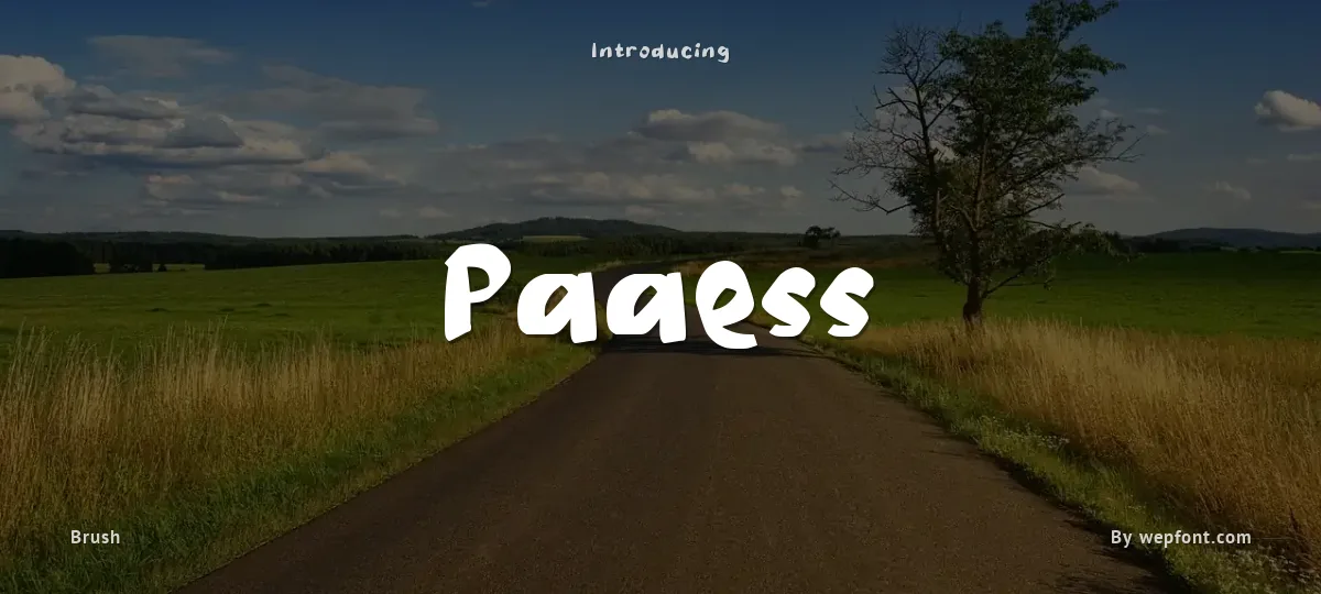 Paaess font preview