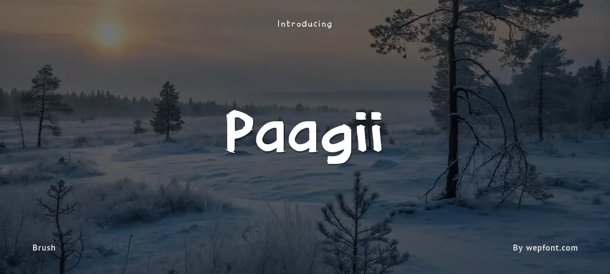 Paagii font preview