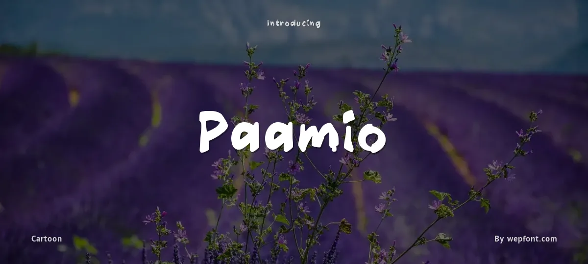Paamio font preview