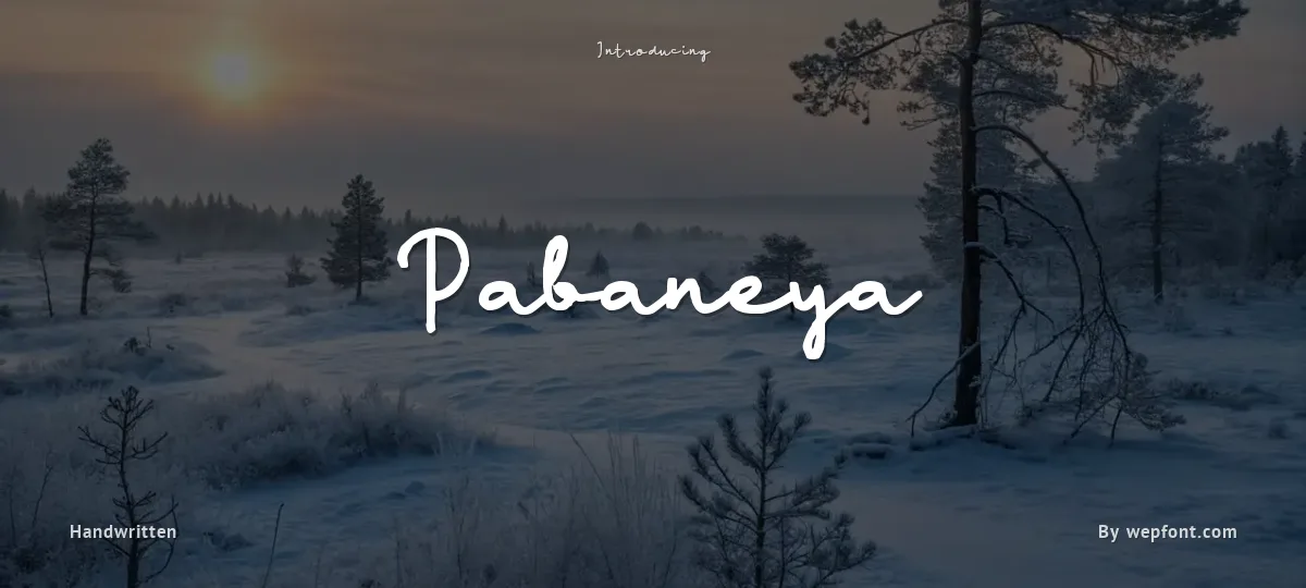 Pabaneya font preview