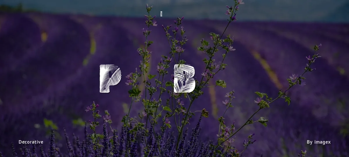 Palm Beach font preview