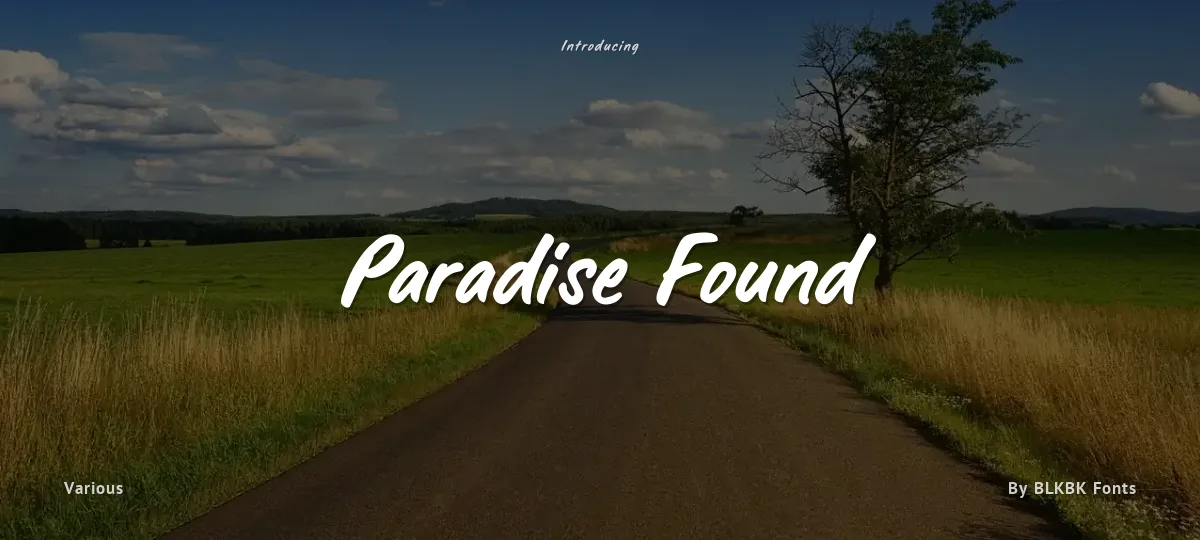 Paradise Found font preview