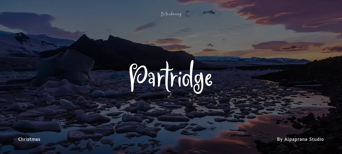 Partridge font preview