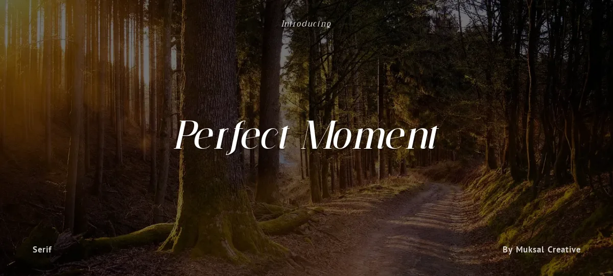 Perfect Moment font preview