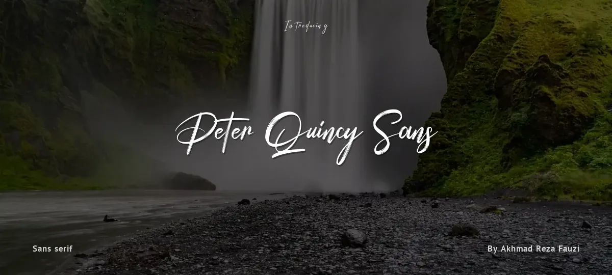 Peter Quincy Sans font preview