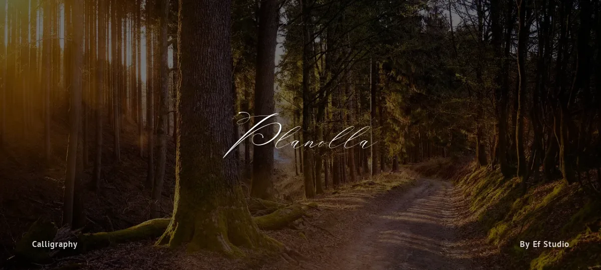 Planolla font preview