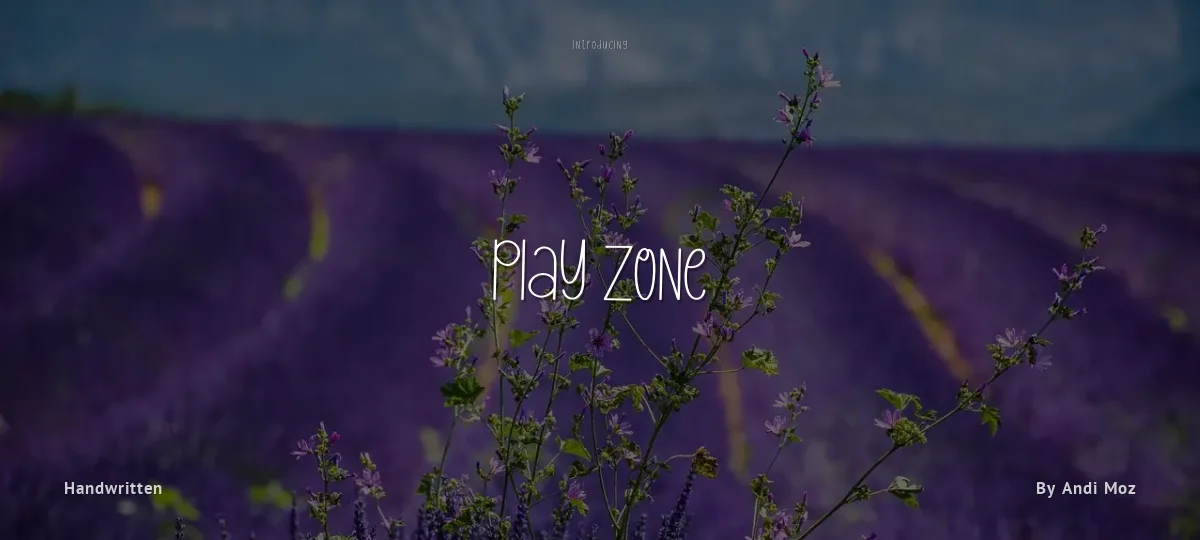 Play Zone font preview