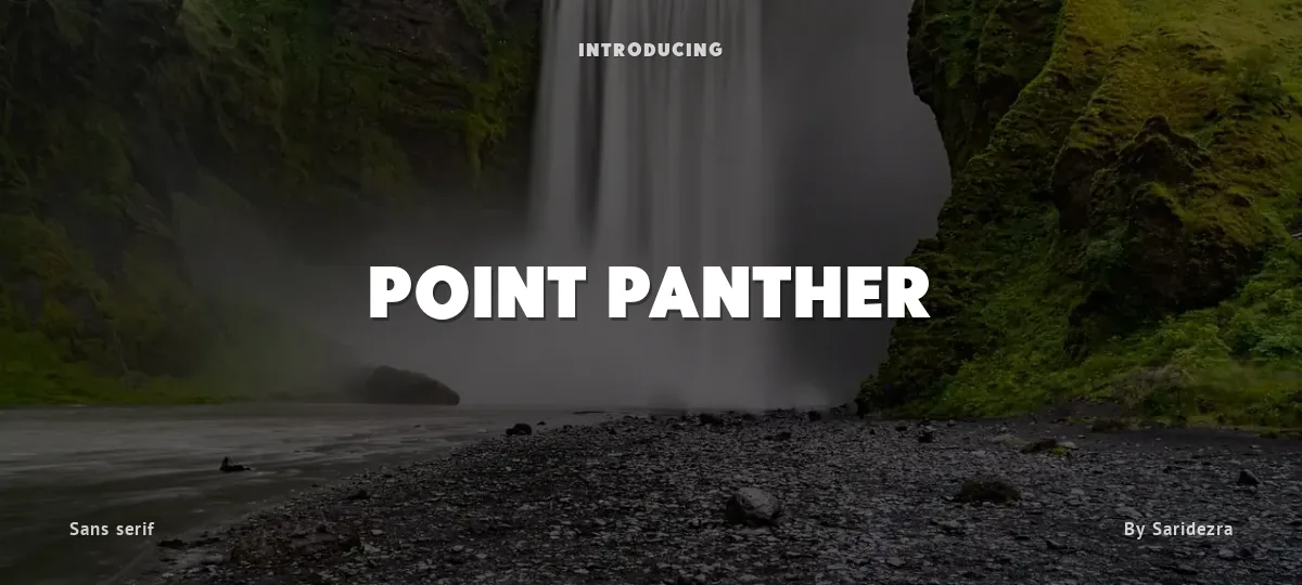 Point Panther font preview