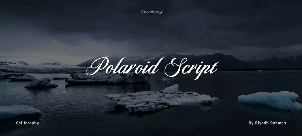 Polaroid Script font preview