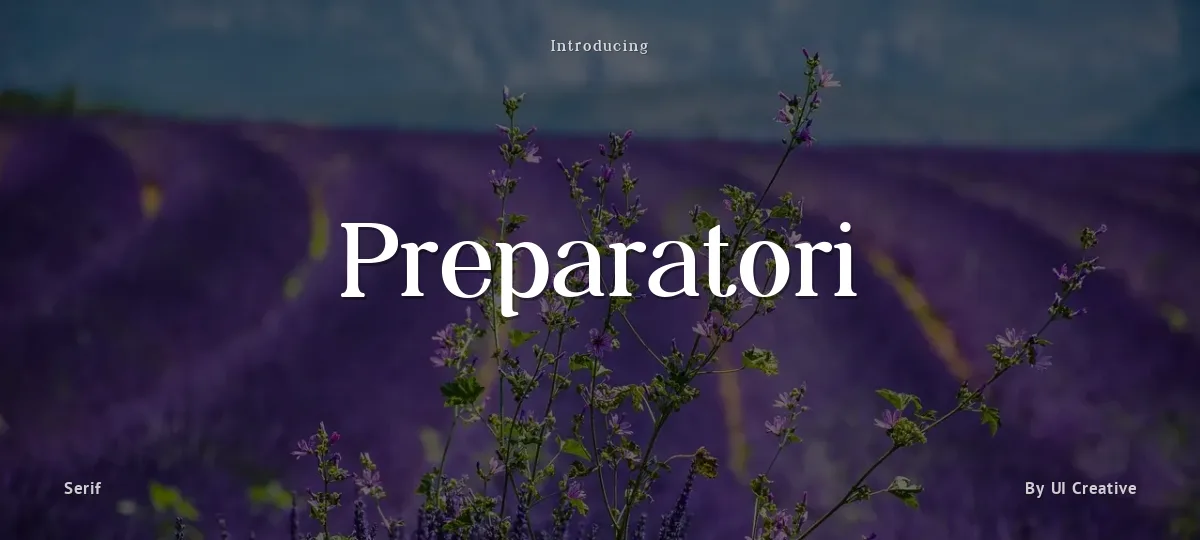 Preparatori font preview