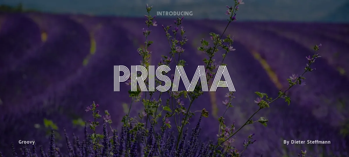 Prisma font preview