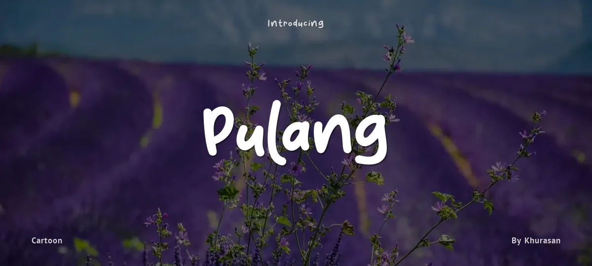 Pulang font preview