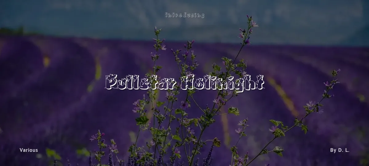 Pullstar Holinight font preview