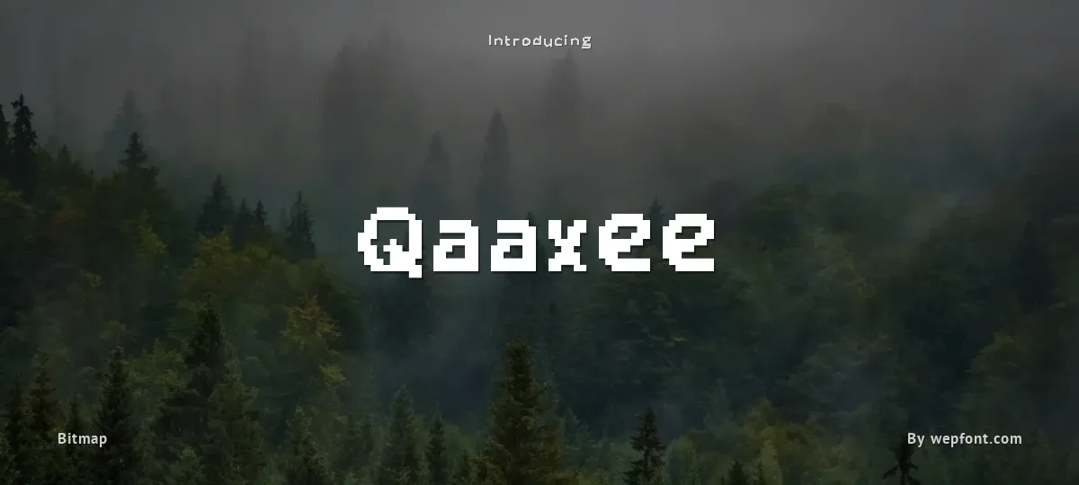 Qaaxee font preview