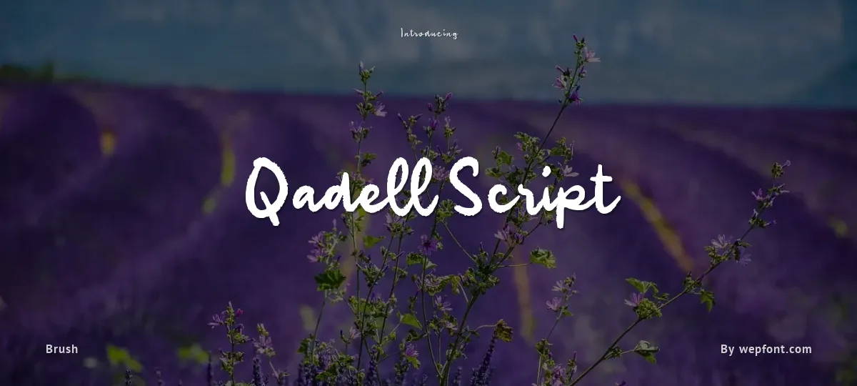 Qadell Script font preview
