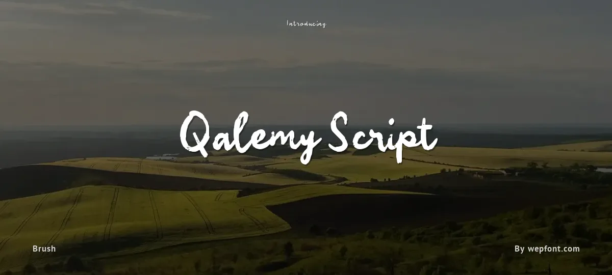 Qalemy Script font preview