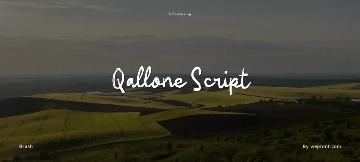 Qallone Script font preview