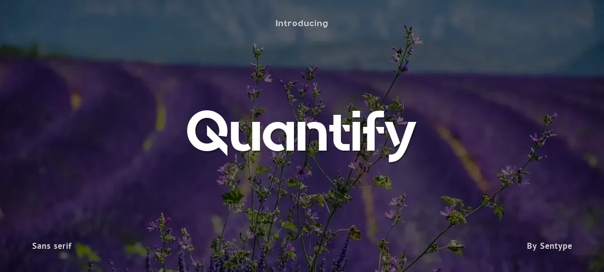 Quantify font preview