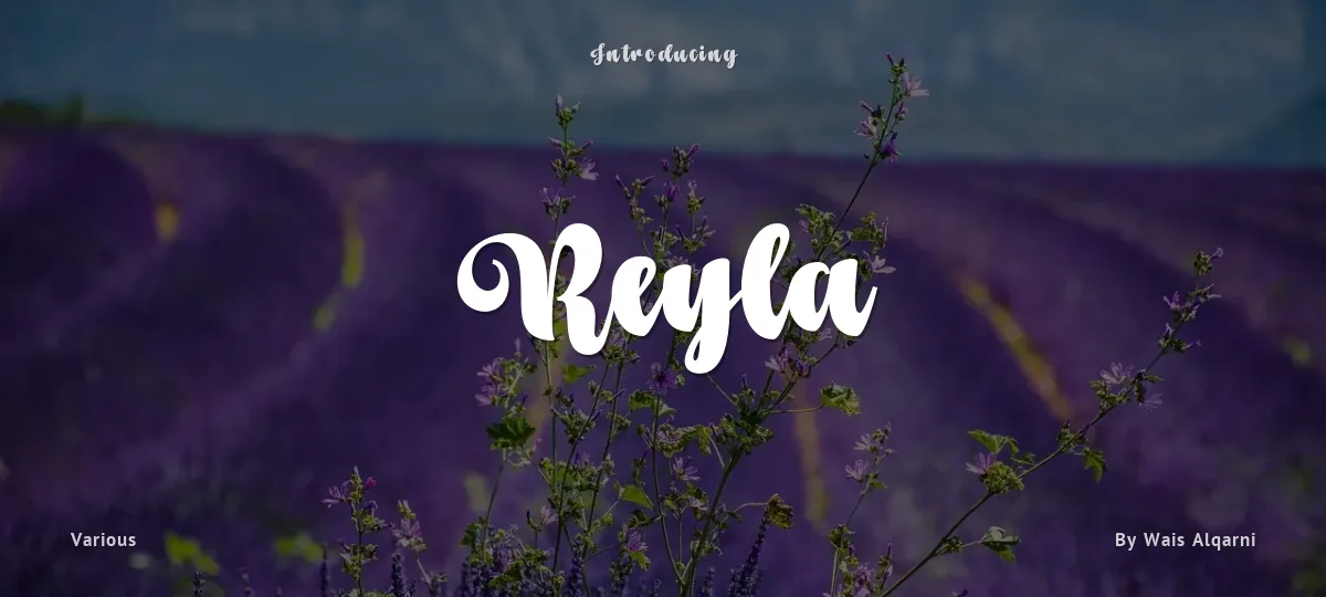 Reyla font preview