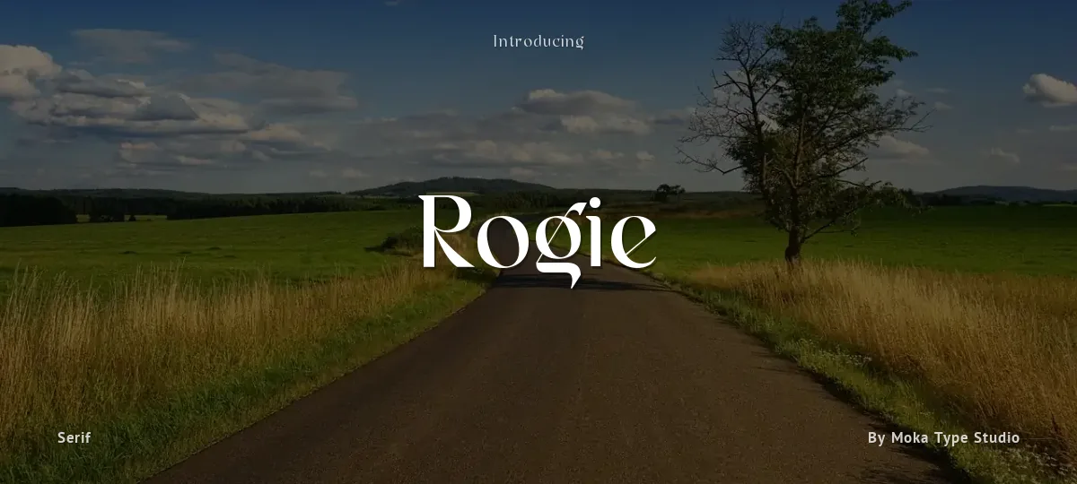 Rogie font preview