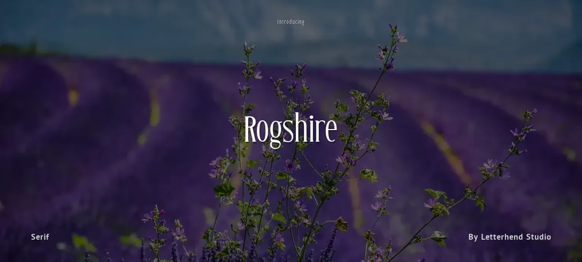 Rogshire font preview
