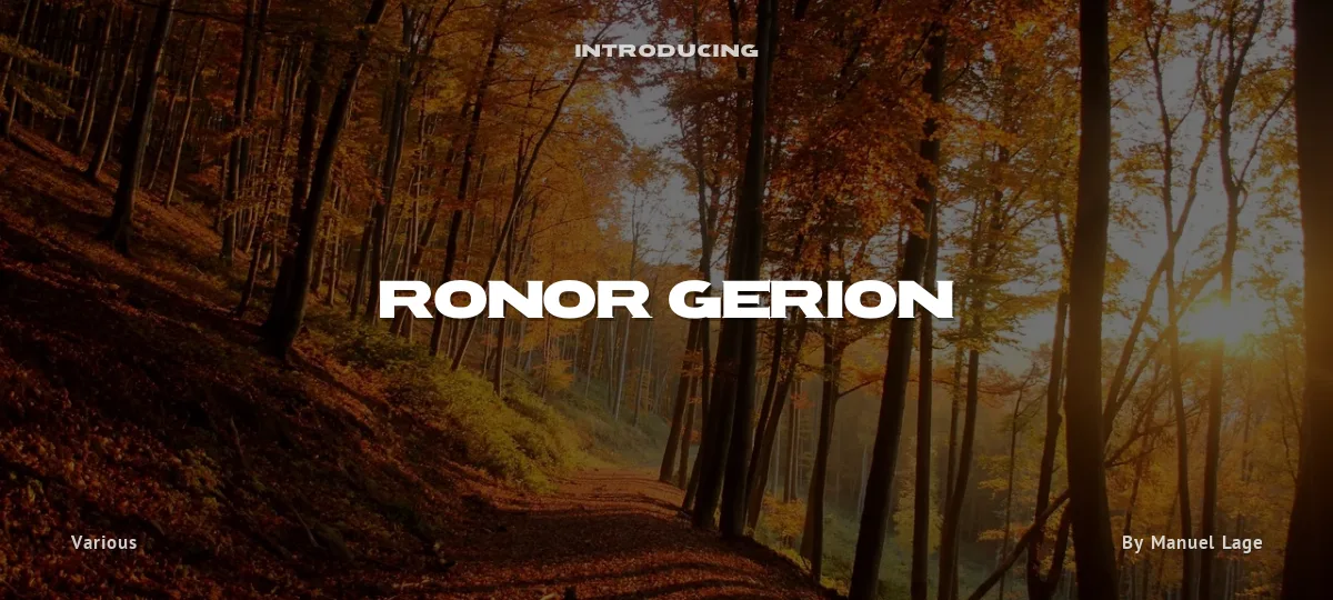 Ronor Gerion font preview