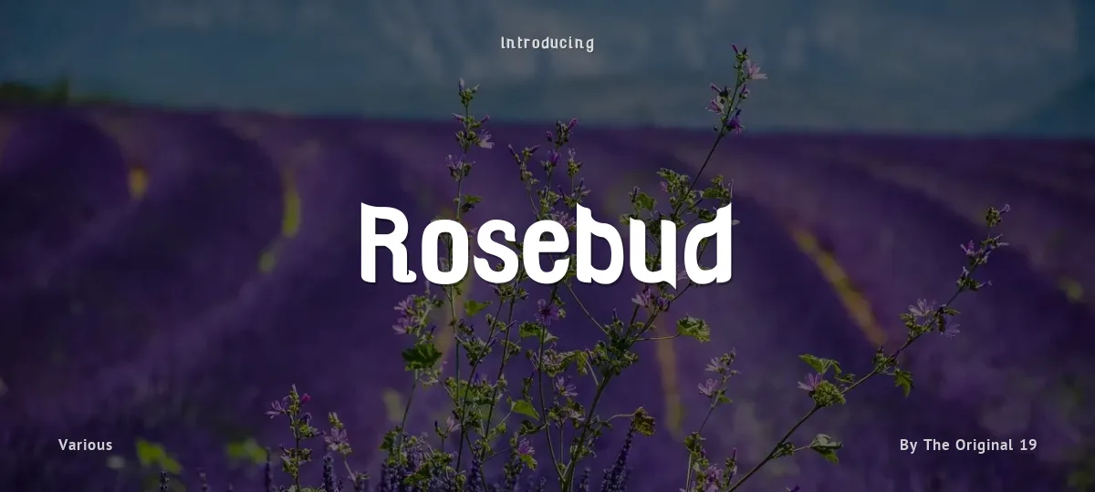 Rosebud font preview