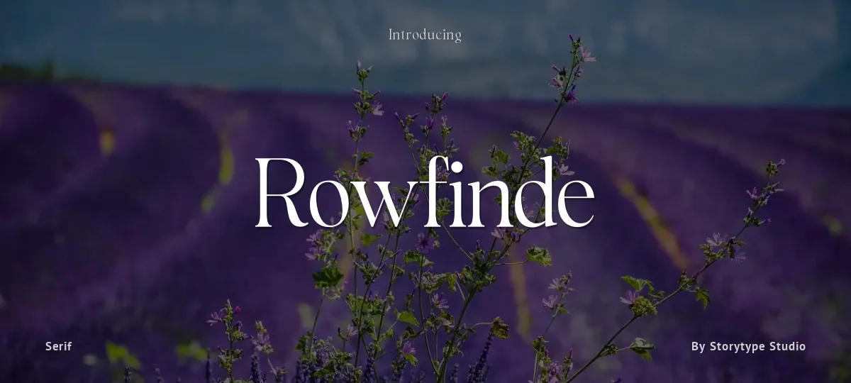 Rowfinde font preview