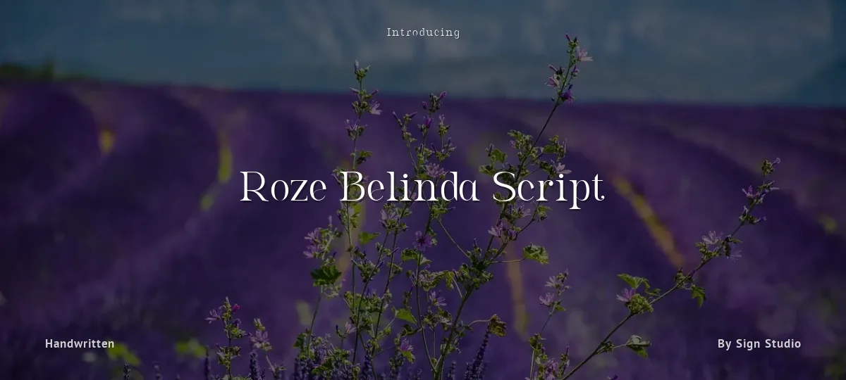 Roze Belinda Script font preview
