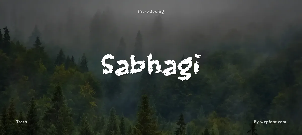 Sabhagi font preview