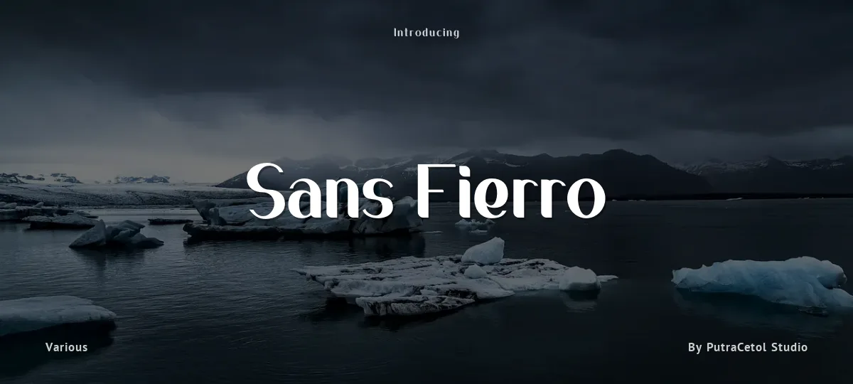 Sans Fierro font preview