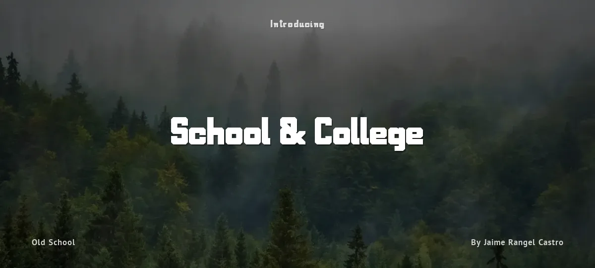 School & College font preview