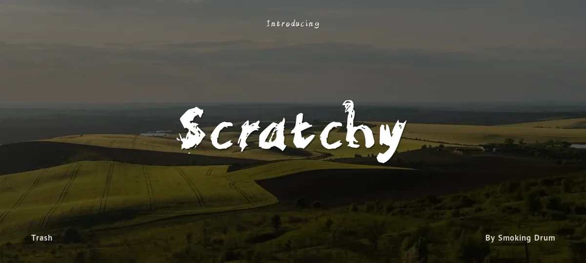Scratchy font preview