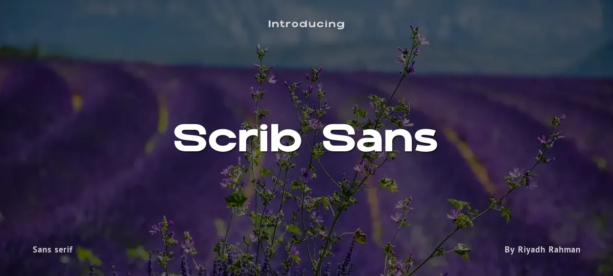 Scrib Sans font preview